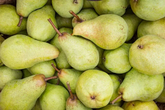 How Pears Promote Digestive Health and Immunity