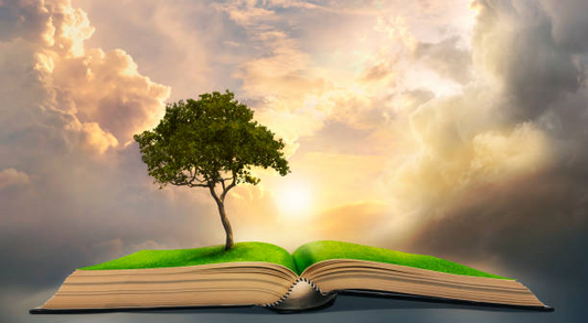Song of Enlightenment: Illuminate our wisdom and open the door to liberation.