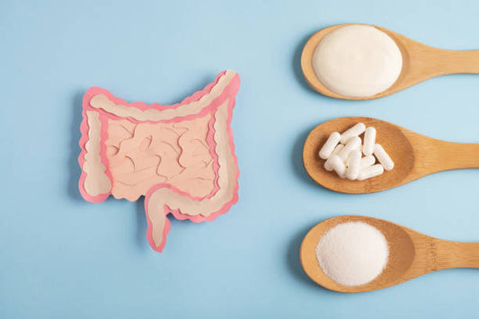 The Gut Microbiome and Its Role in Human Health