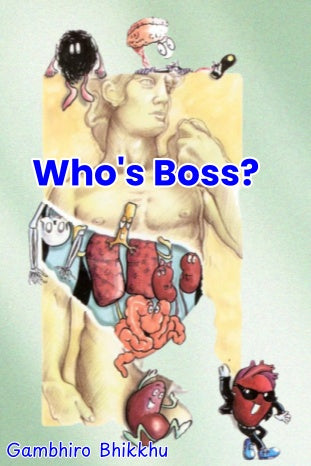 Who's the Boss: Buddhist Illustrated Children's Books