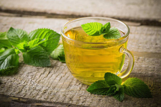 Does Drinking Green Tea Really Slow Down Aging?