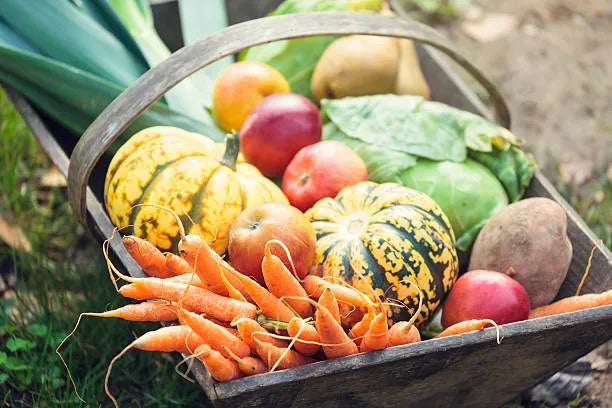 Why Eating Seasonal Foods is Better for Your Health