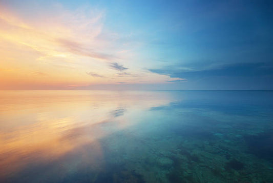 Getting The Buddha Mind:THE Zen Meditation RETREAT