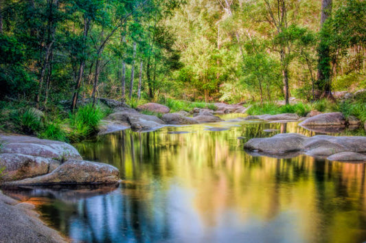 Getting The Buddha Mind: RETREAT REPORT BY R.A.