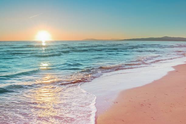 RETREAT REPORT BY D.S. | Getting The Buddha Mind