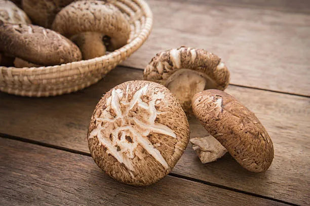 The Immune-Enhancing Benefits of Shiitake Mushrooms